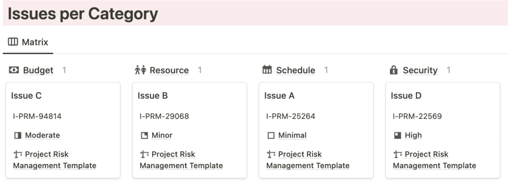 RAID Management Issues Categories - Light