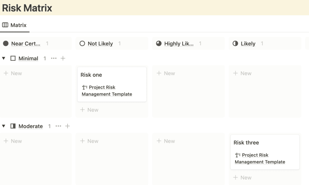 RAID Management Risk Matrix - Light